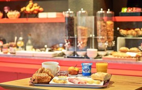 ibis Auray