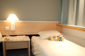 ibis Auray