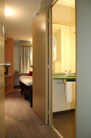 ibis Auray