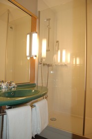 ibis Auray