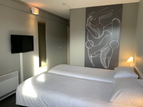 ibis Auray