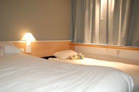 ibis Auray