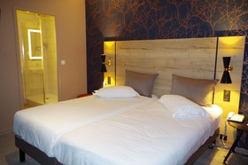 Brit Hotel Ker Lann Aeroport