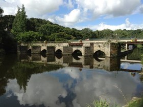 Tranquil Waters