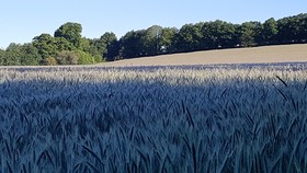 Nuances Bretonnes