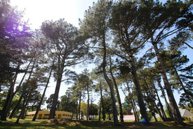Camping Cahutelab Le Guen