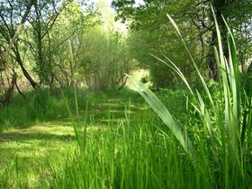 L'Hôt'Berge de Gannedel