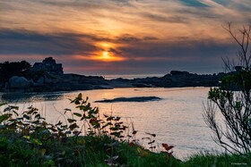 Cerise Lannion