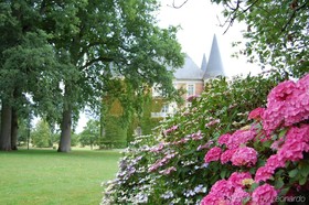 Château D'apigné