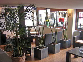 Sure Hotel by Best Western Lorient Centre