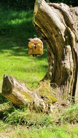 Le Domaine Insolite de Brocéliande