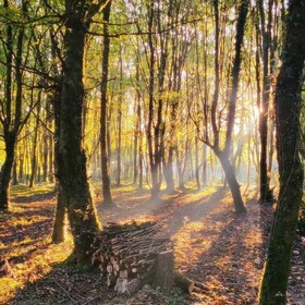 Le Domaine Insolite de Brocéliande