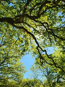 Le Domaine Insolite de Brocéliande