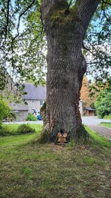 Le Domaine Insolite de Brocéliande