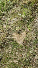 Le Domaine Insolite de Brocéliande