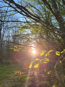 Le Domaine Insolite de Brocéliande