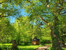 Le Domaine Insolite de Brocéliande
