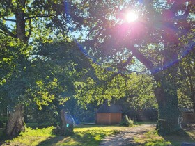 Le Domaine Insolite de Brocéliande