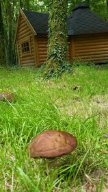 Le Domaine Insolite de Brocéliande