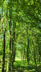Le Domaine Insolite de Brocéliande