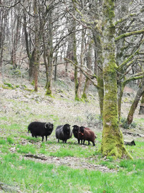 Gites Du Bulz