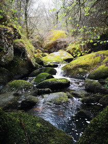 Gites Du Bulz