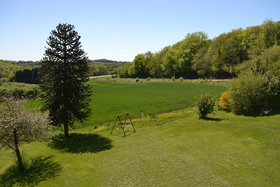 L'Araucaria