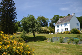 L'Araucaria