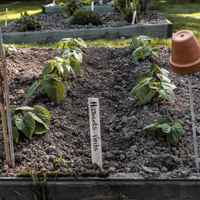 La Fee Maison Chambres D'hotes