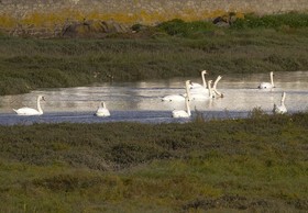 Best Western Cote des Sables Plouescat