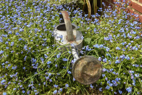 La Cabane De Charlotte