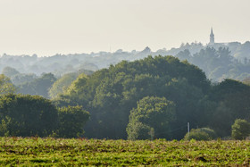 La Cabane De Charlotte