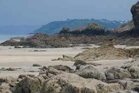 Le Grand Cyprès