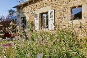 Le Rêve de Jules