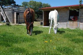 Cottage Maison Drogou