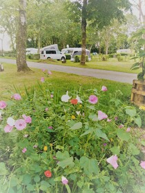 Camping Le Lac o Fees