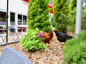 Hôtel ibis Quimper