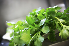 Brit Hotel Rennes - Le Castel