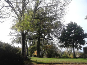 Domaine De La Haye D'Irée