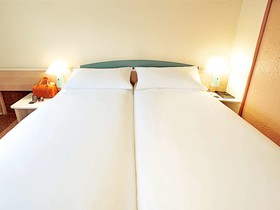 ibis Autun