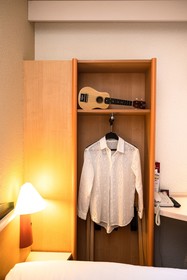 ibis Autun