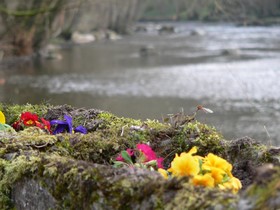 Moulin des Templiers