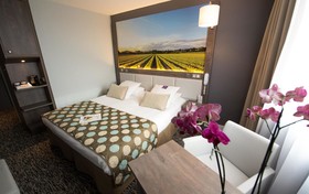 Mercure Beaune Centre
