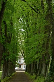 Domaine de Vauluisant