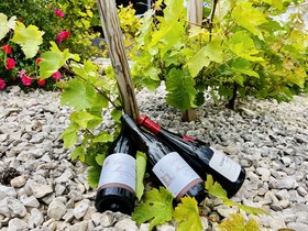 Novotel Dijon Route des Grands Crus