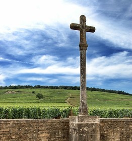 Novotel Dijon Route des Grands Crus