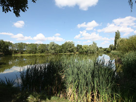 Maison De L'Etang