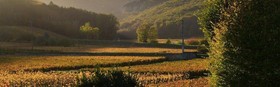 Les Deux Chèvres