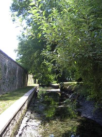 A l'Oree des Vignes
