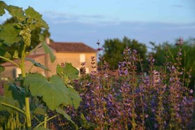Chambres D'Hotes La Mazraa